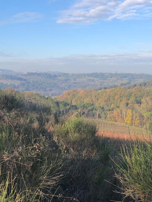 Faetole Typical Tuscan Country House Near Florence Capannuccia 외부 사진