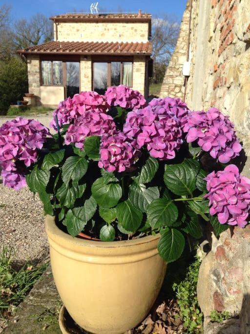 Faetole Typical Tuscan Country House Near Florence Capannuccia 외부 사진